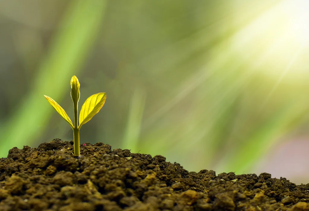 Marketing bền vững: Chiến lược xanh cho doanh nghiệp 2025